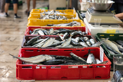 A fish stall owner holding fishes and smiling in front the camera at his stall