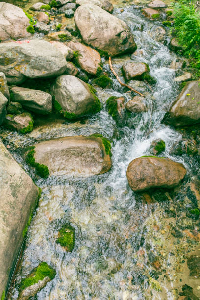 ручей в горе, берег реки, мшистые камни, текущая вода - moss stream rock water стоковые фото и изображения