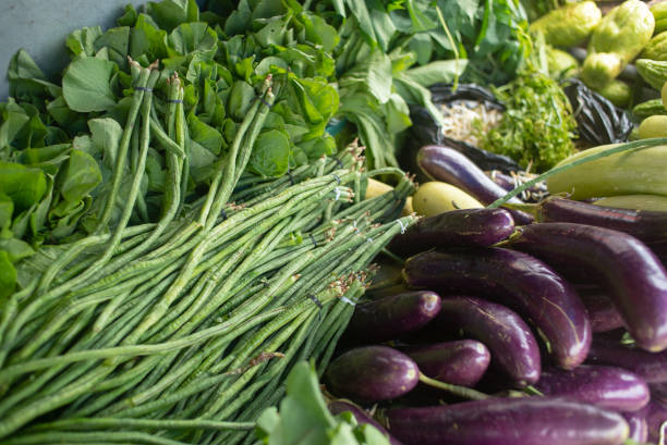 istock long beans, mustard greens, Aubergine 1434631734