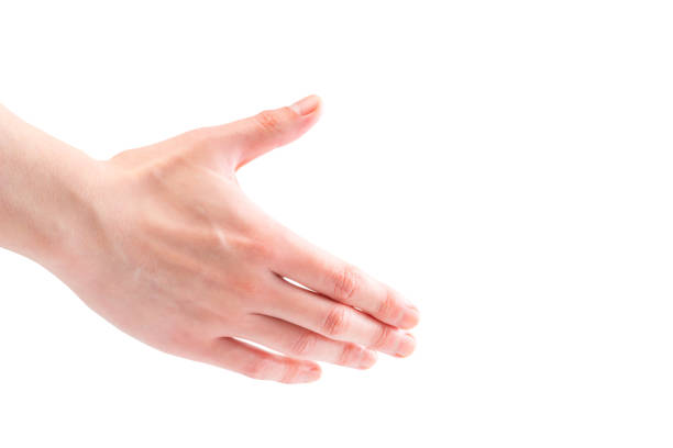 Hand asking for handshake, Hand out, Greeting, Friendly relationship, Copy space, Hand parts, White background.