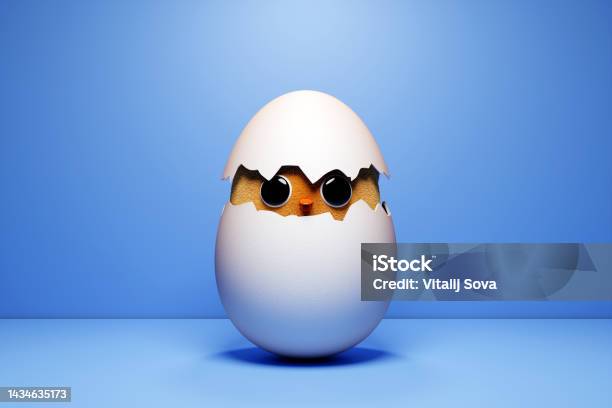 2,500+ Thinking Egg Stock Photos, Pictures & Royalty-Free Images - iStock