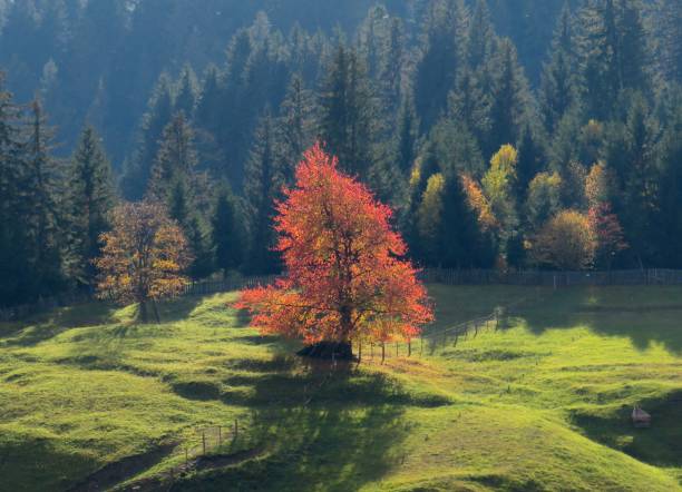 istock Countryside in Romania 1434637111