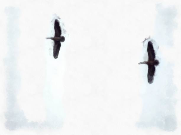 istock vultures flying in the sky watercolor style illustration impressionist painting. 1434637965
