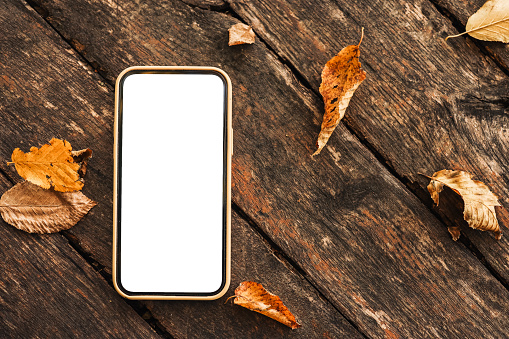 mobile phone on wooden background and autumn leaves