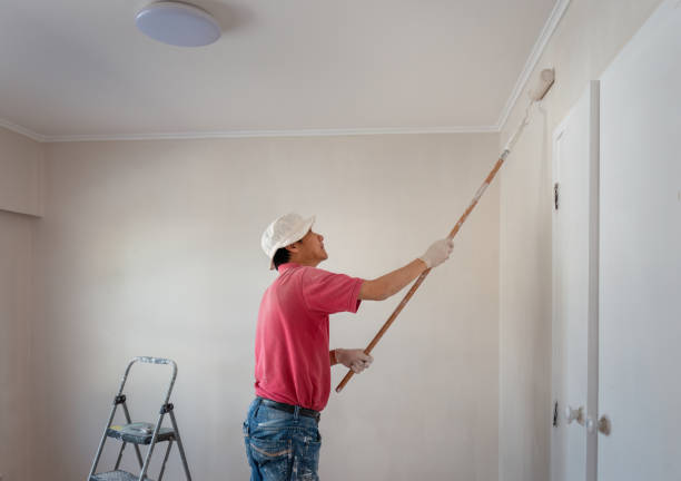 Man painting wall with a roller in home renovation project Man painting wall with a roller in home renovation project house painter ladder paint men stock pictures, royalty-free photos & images