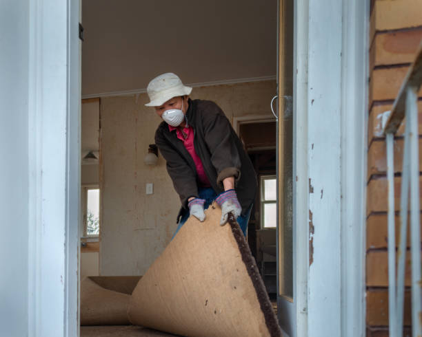 istock Man pulling up and removing carpet. Home interior do it yourself refurbishment project. 1434648923