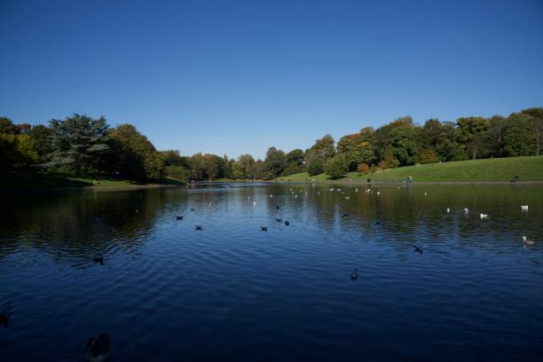 istock Sefton Park Lake Liverpool 1434650323