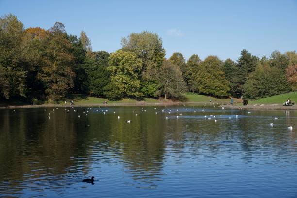 istock Sefton Park Lake Liverpool 1434650421
