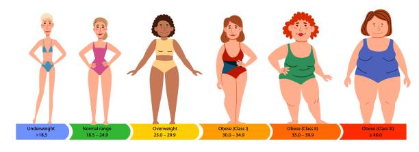 Categories with body mass index. Female silhouettes with a thick, normal and slender figure. Categories with body mass index. Female silhouettes with a thick, normal and slender figure. Flat vector infographics with people with different metabolism, weight and skin color. skin tone chart stock illustrations