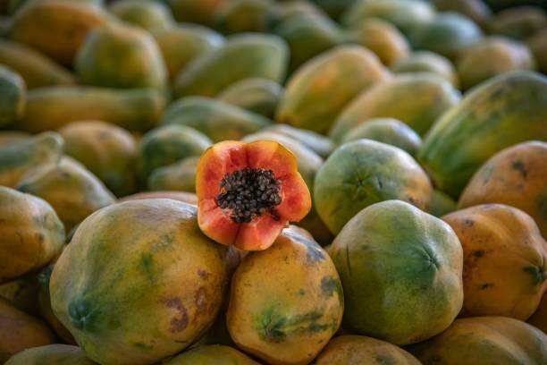 plan rapproché d’un tas de papayes fraîches avec une bien coupée sur le dessus dans le marché de rue - treet photos et images de collection