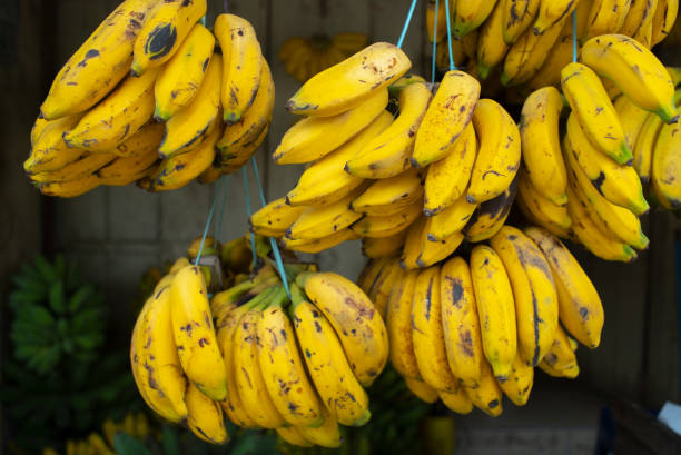 istock Banana, hang, yellow 1434665392