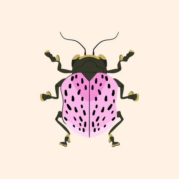 Vector illustration of Cute pink beetle on beige background. ladybug insect vector illustration