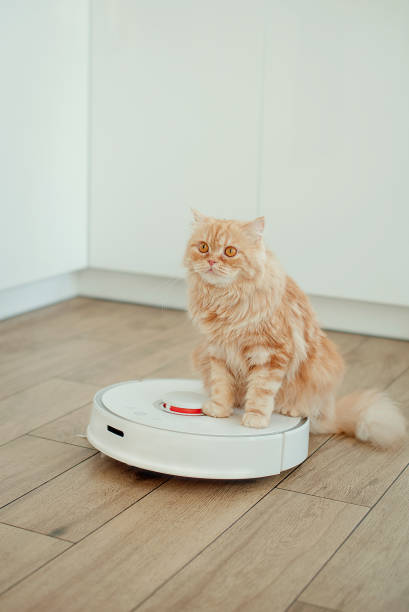 istock White robot vacuum cleaner washes the floor 1434672211
