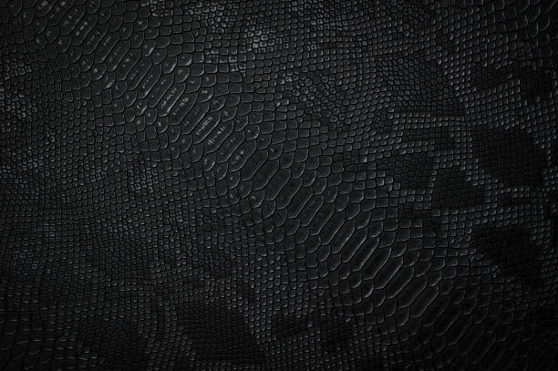 istock Vegan faux Snakeskin leather 1434678974