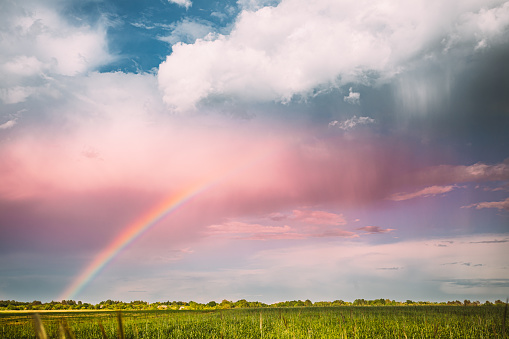 Sky During Rain With Rainbow On Horizon Above Rural Landscape Field. Agricultural And Weather Forecast Concept. Countryside Meadow In Summer Rainy Day