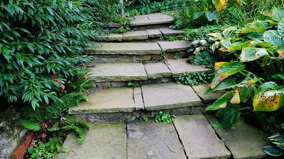Architectural garden steps set between perennial borders.