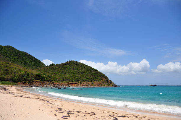 istock Anse Marcel - beach and forest covered hills, Saint Martin (French part) 1434684137