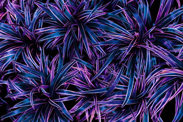 istock tropical leaves, blue and purple abstract background, toned process. 1434685107