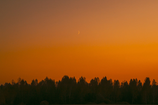 Sunset And Moon Rising Above Forest. Dramatic Sunset Background. Crescent Above Trees. Night Coming. Bright Orange Colors.