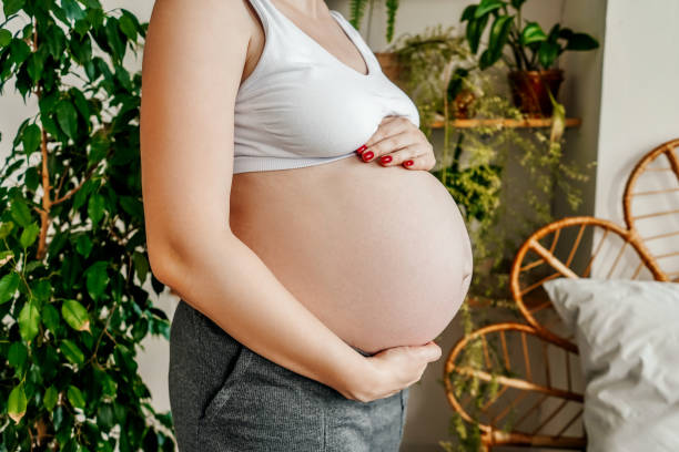 istock Pregnant woman holding her belly, copy space. 1434688212