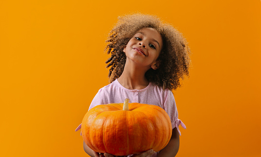 A black decorator girl looks out from behind a pumpkin, which she holds in her hands. Decoration of the Thanksgiving or Halloween Holiday.