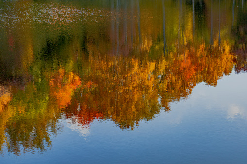 Autumn tree reflections on the pond