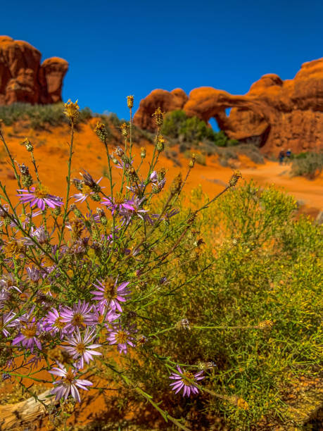 Views of Double Arch at Arches National Park