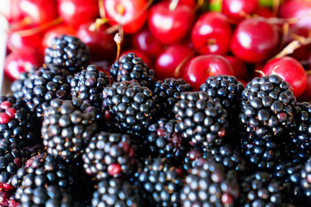 blackberry and cherries. healthy and delicious dessert. - blackberry currant strawberry antioxidant imagens e fotografias de stock