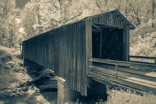 istock Covered wooden bridge in the forest. 1434706161