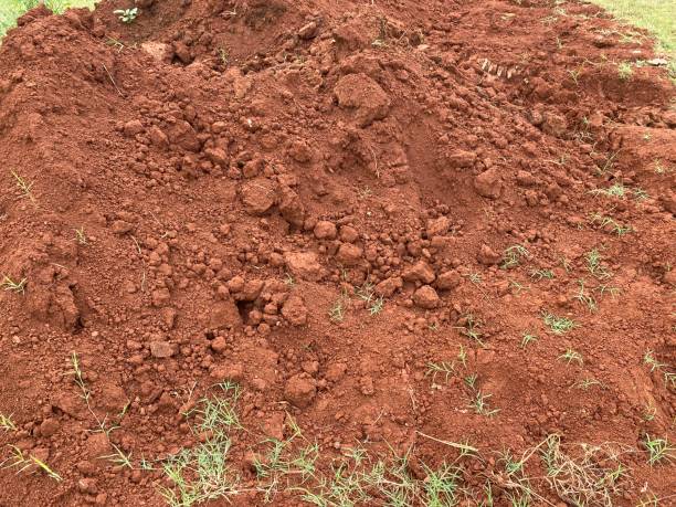 istock Red Soil, For Gardening close up 1434706185