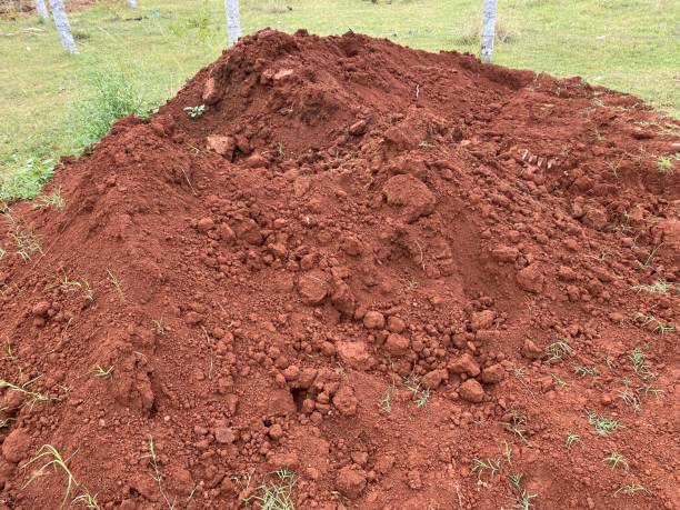 istock Red Soil, For Gardening 1434706261