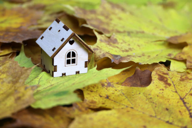 istock Wooden house model on maple leaves background 1434708509
