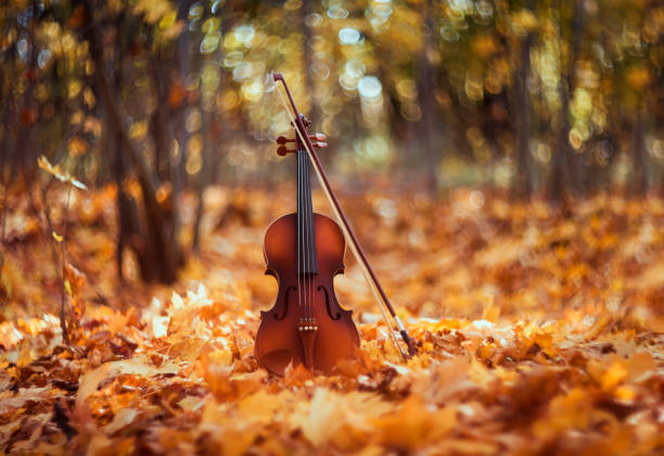 strumento violino in legno con arco si erge in un parco soleggiato primaverile tra fogliame dorato caduto - classical music red violin bow foto e immagini stock