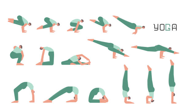 Vector flat illustration collection with female character doing yoga. European woman learns relaxing stretching postures. Set of basic sports balance exercise Vector flat isolated illustration collection with female character doing yoga. European woman learns handstand and back bend postures. Set of basic sports balance exercise for beginners headstand stock illustrations
