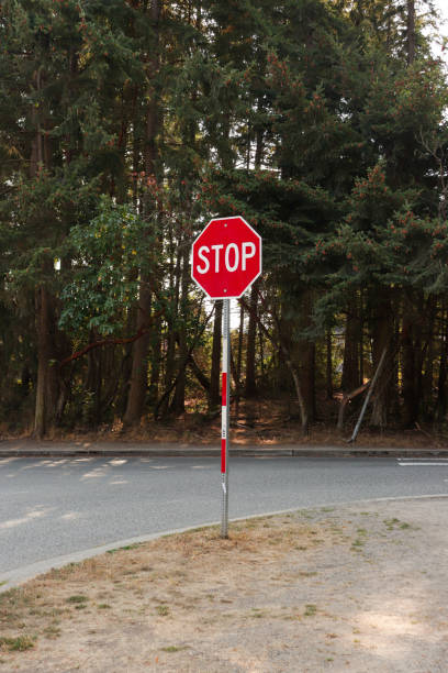 istock Stop sign empty road in a green park 1434712045
