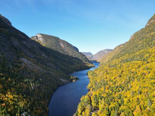 istock Aerial view of a river across the forest with pine trees 1434715921