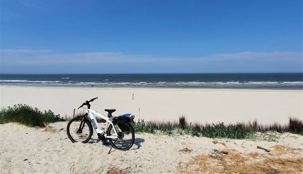 istock Protected by police at the beach 1434717046
