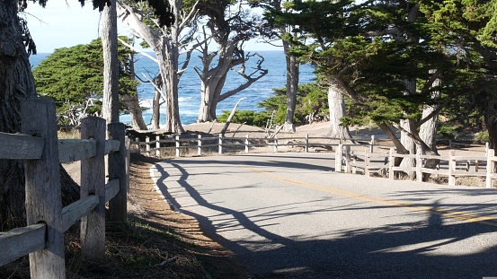 17-mile drive scenic road, Monterey, California, USA. Road trip thru cypress tree forest, coniferous pine. Pacific coast highway tourist route near Point Lobos, Big Sur and Pebble beach, golf by ocean
