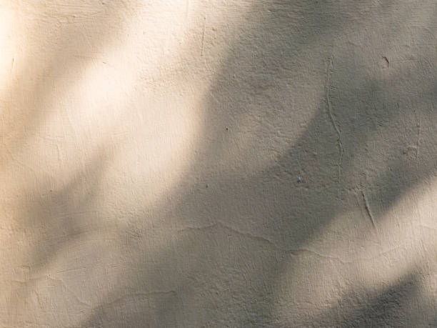 istock Abstract leaves shadow background on beige wall texture for background and wallpaper 1434719394