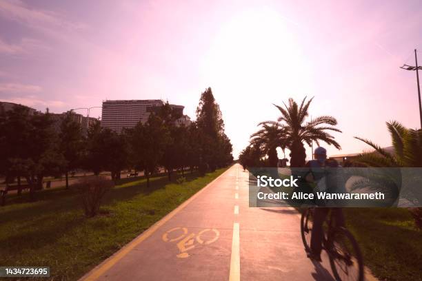 Bicycle Lane Through Sunset At Batumi City Adjara Georgia 16 October 2022 Stock Photo - Download Image Now