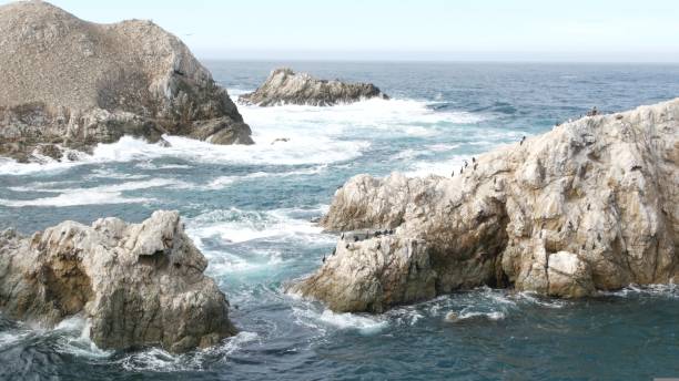 peñasco rocoso de acantilado, playa oceánica, point lobos, costa de california. olas rompiendo. - point lobos state reserve big sur california beach fotografías e imágenes de stock