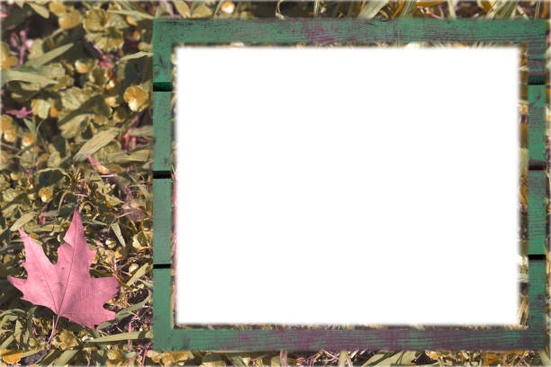 wood green frame on autumn background