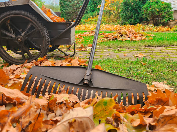 istock Autumn garden scene with rake and wheelbarrow. 1434729598