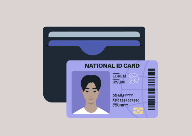 illustrations, cliparts, dessins animés et icônes de un simple porte-carte noir avec des cartes de débit et de crédit en plastique à l’intérieur, une carte d’identité nationale avec un portrait photo - id card