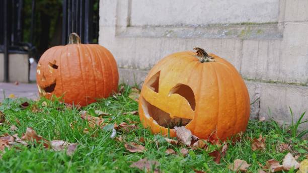 istock Spooky Halloween Decoration Pumpkin Lanterns With Carved Faces Laying on Grass Lawn on Sunny Autumn Day 1434732757