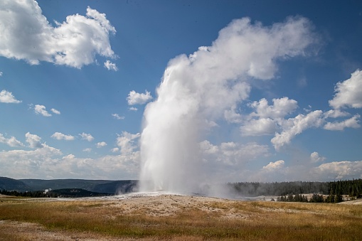 The Old Faithful cone geyser in Yellowstone National Park in Wyoming, United States.
