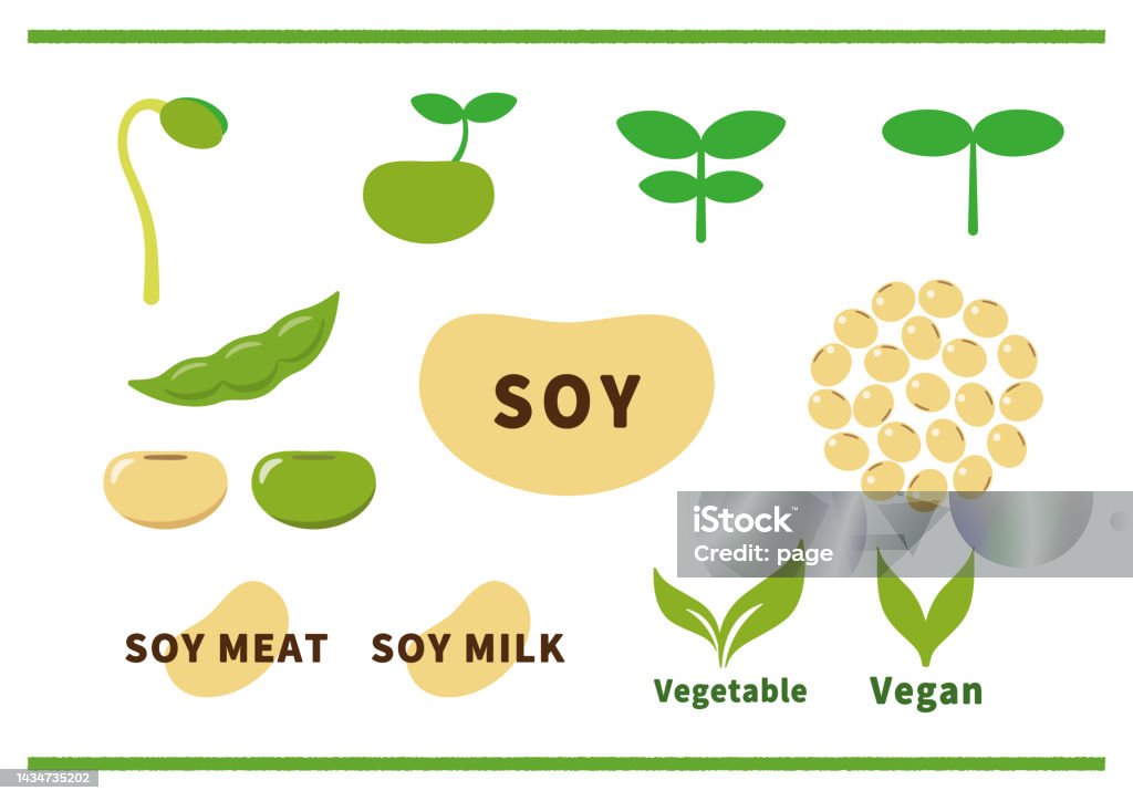 soy - Royalty-free Soya fasulyesi Vector Art soy - Royalty-free Soya fasulyesi Vector Art