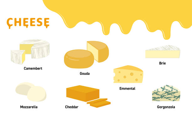 ilustrações de stock, clip art, desenhos animados e ícones de various cheeses - cheese food swiss cheese dairy product