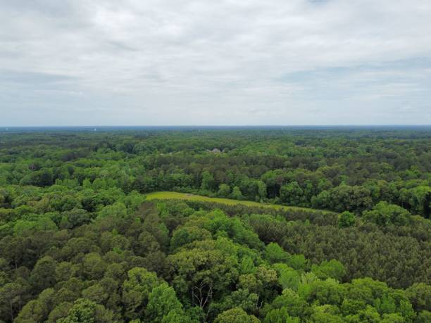 istock Aerial view of a lush green forest under a cloudy sky in Mississippi 1434736066