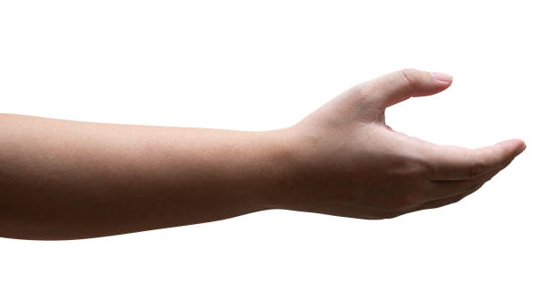 istock Women hand reach and ready to help or receive. Gesture isolated. 1434739720
